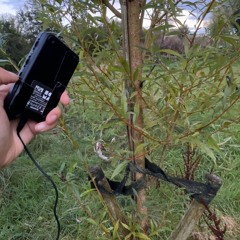 49m² | 新录音 141