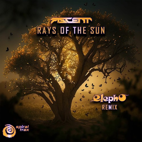 Ascent - Rays Of The Sun (Elepho Remix) (​​SPIT309 - Spiral Trax)