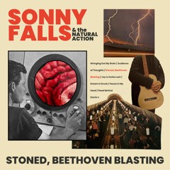 Sonny Falls - Wringing Out My Brain