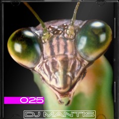 LACMIX025 - dj mantis