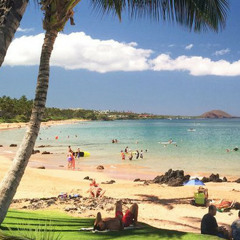 Beach Playlist 2023