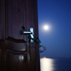 В голове (feat. Merlin!)