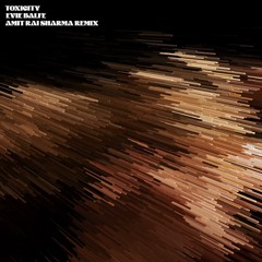 Toxicity - Amit Rai Sharma Remix