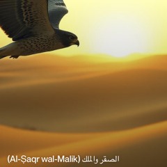 ‎⁨الصقر-والملك-(al-ṣaqr-wal-malik)⁩.mp3
