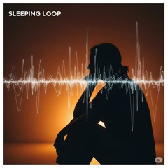 🧾 FDD586 – Sleeping Loop