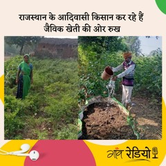 राजस्थान के बांसवाड़ा के आदिवासी किसान कर रहे हैं जैविक खेती की ओर रुख