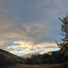 I knew how this was going to end (preview)