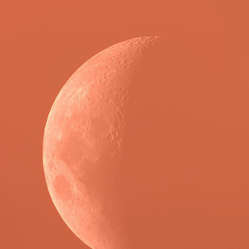 Peach Moon