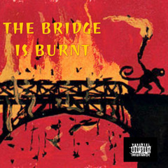 BURNIN BRIDGES
