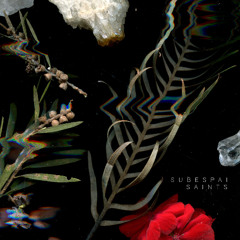 St. Anthony (excerpt)