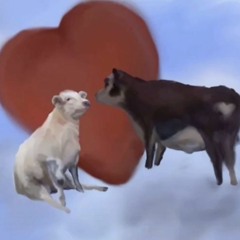 모닝 케이크