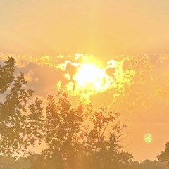 Light