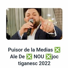Puișor de la Mediaș - 🤴🏽🤴🏼 Ale de-de-de 👰🏼‍♂️