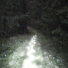 truth (kuteqare + synthetic)