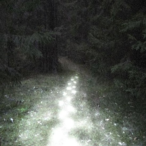 truth (kuteqare + synthetic)