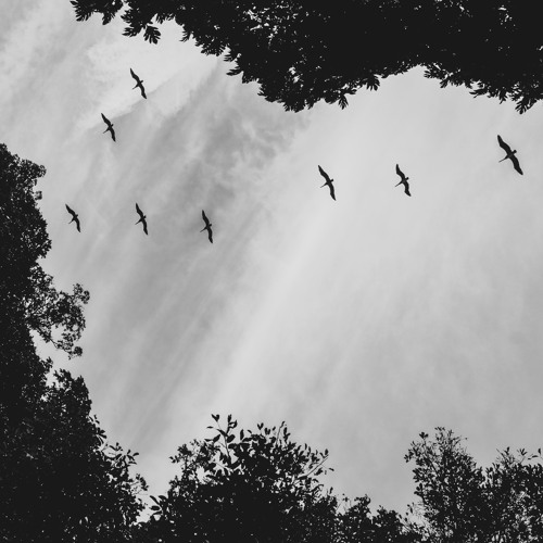 Liebe Im Netz (prod. unlucky)