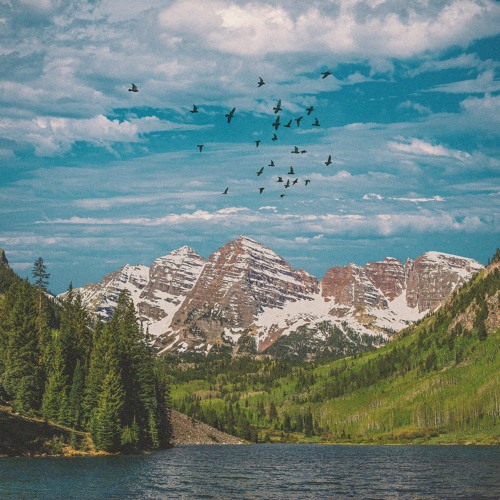 As A Bird Flies (feat. Vannorte)