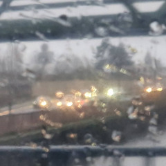 hollowed rain