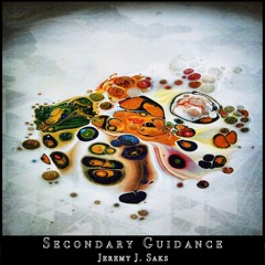 Jeremy J. Saks - Secondary Guidance