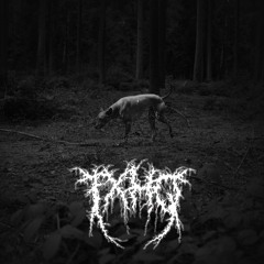 Canis Errant - Modular Liveset '23