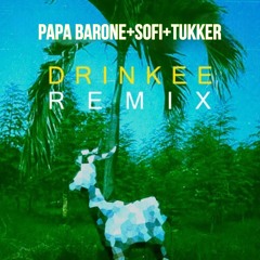 Sofi+Tukker - Drinkee (Papa Barone + Thiago Dukky Deus Te Crie Tribal Funk Remix)