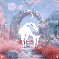 Noire Echo (Radio Edit) - Anthony Bassoulou & Josho (ANJA Project)