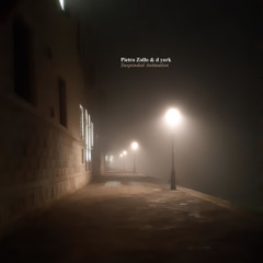 Pietro Zollo & d york - cold-lullaby - Taken from "Suspended Animation" Album