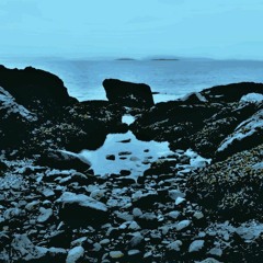 Looking Through The Water