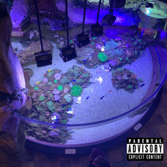 Cross Me (Prod. Quintuple)