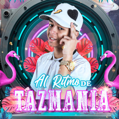 al ritmo de tazmania 😶‍🌫️ (recreo) (tazmania DJ)