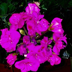 playbackwheneveryoufeeldown<3