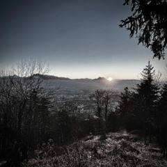 Do not go gentle into that good night