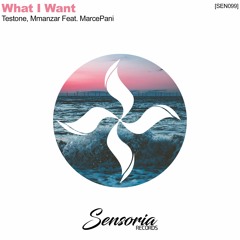 Testone, Mmanzar, MarcePani - What I Want (Logic Lab Remix)