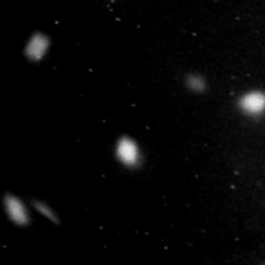 Rave Against The Dying Of The Light