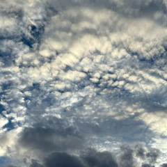 Jesus is the best friend that you can have