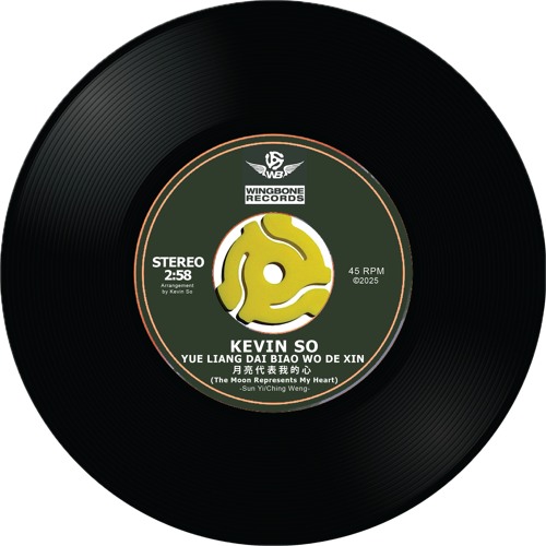 Yue Liang Dai Biao Wo De Xin 月亮代表我的心 (Instrumental)