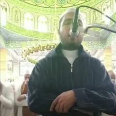 تلك الرسل فضلنا بعضهم علي بعض _ من سورة البقرة _ محمود أبوسعدة