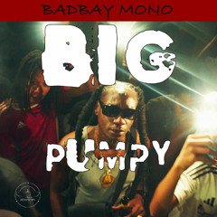 Badbay Mono - Big Pumpy