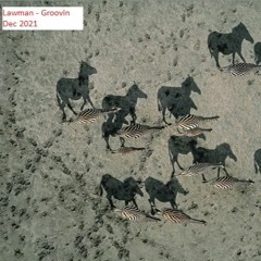 Lawman - Groovin Dec 2021