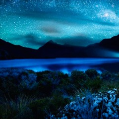 THE NIGHT IS YOUNG