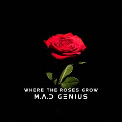 Where The Roses Grow Radio Edit