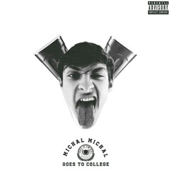 Michal Michal Goes To College