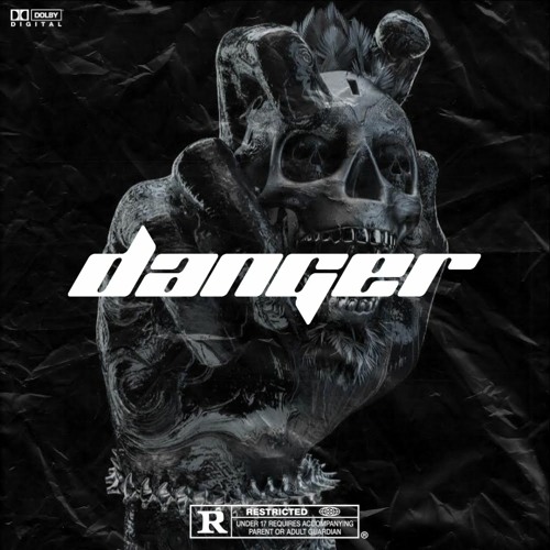 (RESULT SAMPLE CHALLENGE) "Danger"
