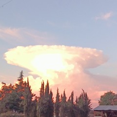 voces (no hay voces)