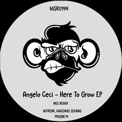 PREMIERE: Angelo Ceci - Here To Grow (ProOne79 Remix) [Monkey Stereo Records]