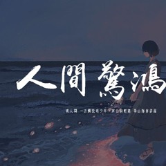 葉裏 - 人間驚鴻客 (DJ沈念版)「嘆人間 一去風流唯少年，將白駒輕踏 尋山海作詩篇」【動態歌詞/pīn yīn gē cí】
