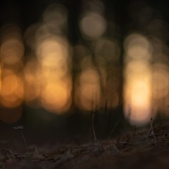 ATOM 009 Session - Fuueihou