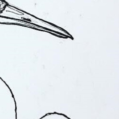 Window (Adorno Version)