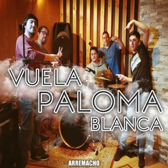 VUELA PALOMA BLANCA