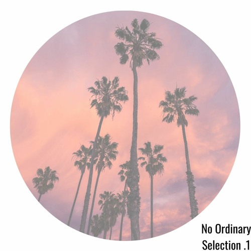 No Ordinary Selection .1